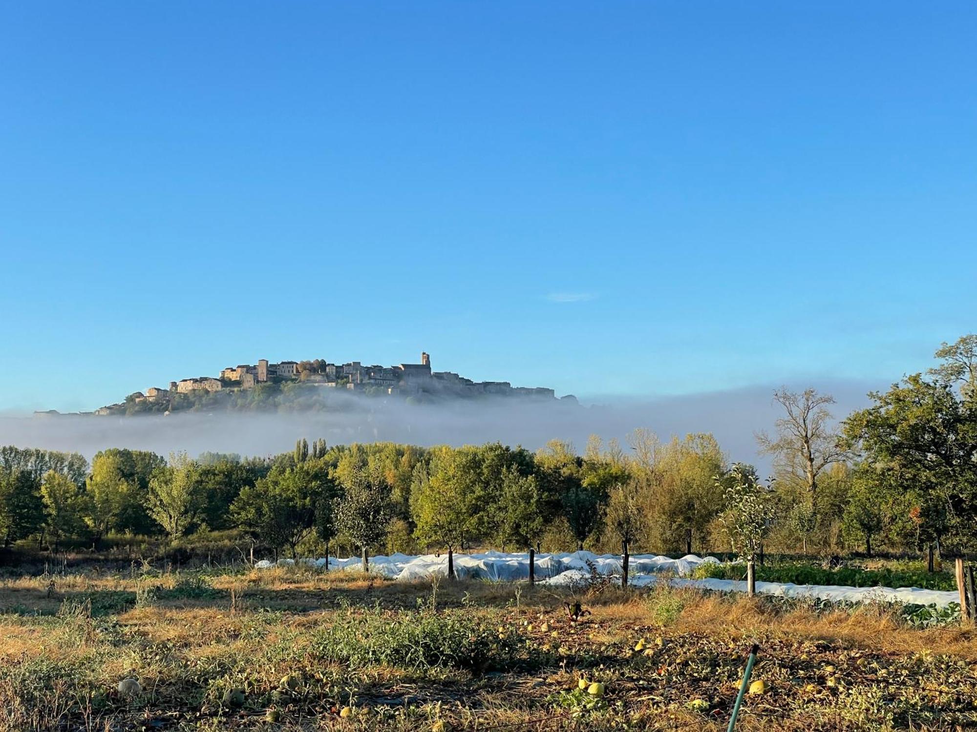 Gite A La Ferme De Verdurette Cordes-Sur-Ciel Exterior photo
